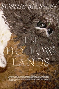 In Hollow Lands