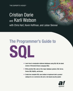 Programmer's Guide to SQL