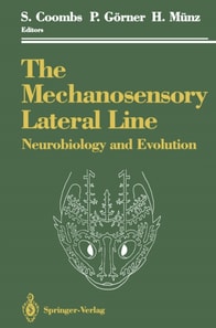 Mechanosensory Lateral Line