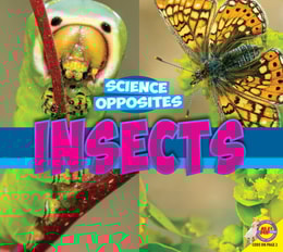 Insects