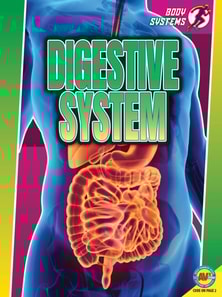 Digestive System