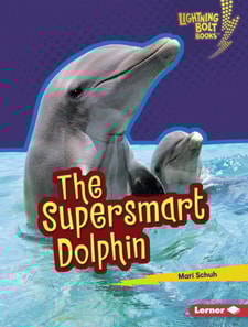 Supersmart Dolphin