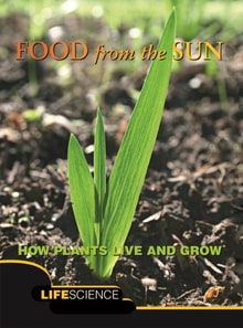 Food From The Sun