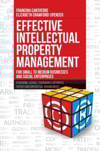 Effective Intellectual Property Management for Small to Medium Businesses and Social Enterprises