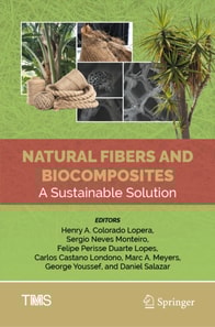 Natural Fibers and Biocomposites