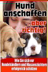 Hund anschaffen-aber richtig