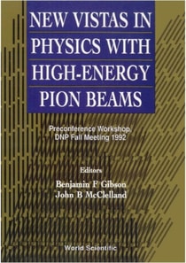 New Vistas In Physics With High-energy Pion Beams - Preconference Workshop, Dnp Fall Meeting 1992