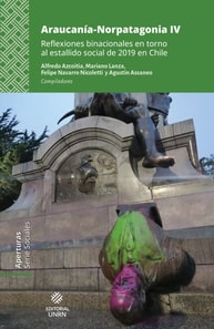 Araucanía-Norpatagonia IV