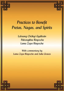 Practices to Benefit Pretas, Nagas and Spirits eBook