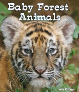Baby Forest Animals