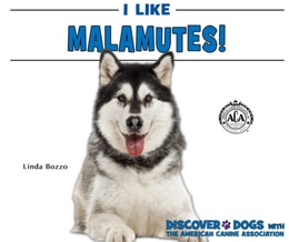 I Like Malamutes!