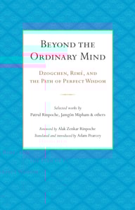 Beyond the Ordinary Mind