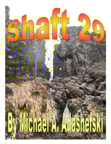 Shaft 29