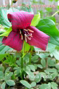 By the Sun and Moon: a collection og Pagan Poems