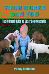 Your Boxer and You: The Ultimate Guide to Boxer Ownership