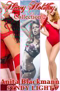 Horny Holiday Collection 2