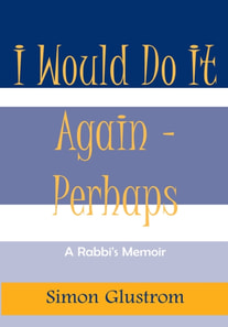 I Would Do It Again - Perhaps