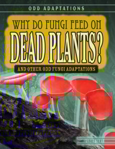 Why Do Fungi Feed on Dead Plants?