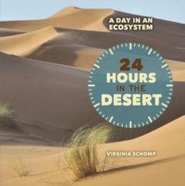 24 Hours in the Desert
