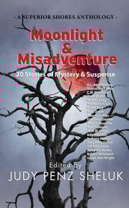 Moonlight & Misadventure: 20 Stories of Mystery & Suspense