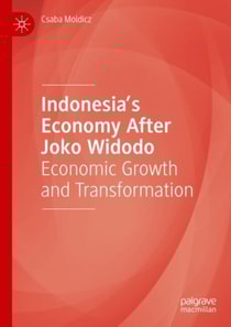 Indonesia's Economy After Joko Widodo