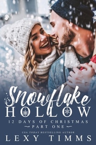 Snowflake Hollow - Part 1