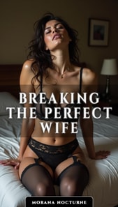 Breaking the Perfect Wife