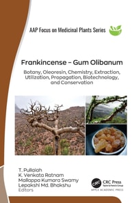 Frankincense - Gum Olibanum
