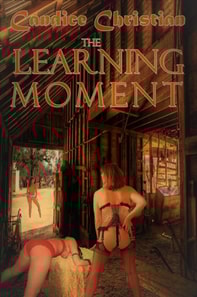 Learning Moment