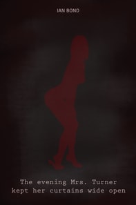 Evening Mrs. Turner Kept Her Curtains Wide Open