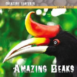 Amazing Beaks