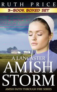Lancaster Amish Storm 3-Book Boxed Set