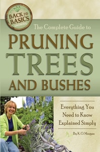 Complete Guide to Pruning Trees and Bushes