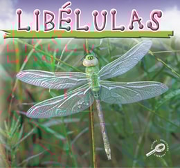 Libelulas