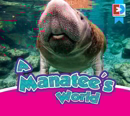 Manatee's World
