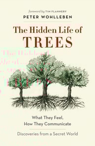 Hidden Life of Trees
