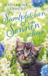 Samtpfötchen im Sonnenschein