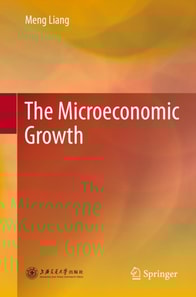 Microeconomic Growth