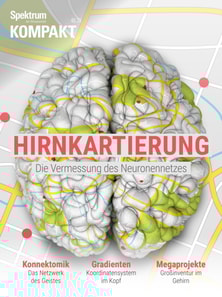 Spektrum Kompakt - Hirnkartierung