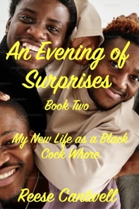 Evening of Surprises: Book Two: My New Life as a Black Cock Whore