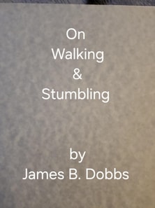 On Walking & Stumbling