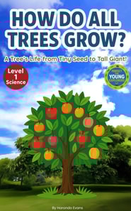 How Do ALL Trees Grow?: A Tree's Life from Tiny Seed to Tall Giant!