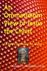 Ommatidium View of Jesus, the Christ (A bee's eye view of Jesus)