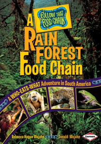 Rain Forest Food Chain