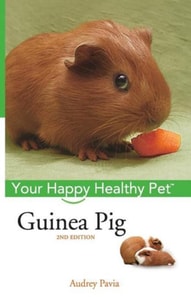 Guinea Pig