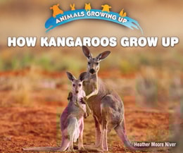How Kangaroos Grow Up