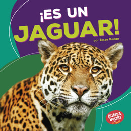 ¡Es un jaguar! (It's a Jaguar!)