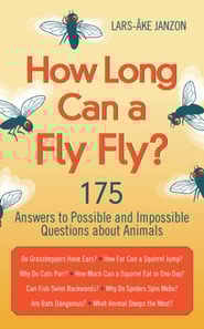 How Long Can a Fly Fly?