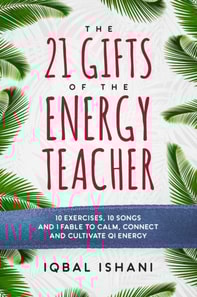 21 Gifts of the Energy Teacher