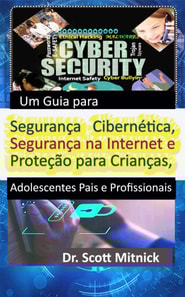 Um Guia para Segurança Cibernética, Segurança na Internet